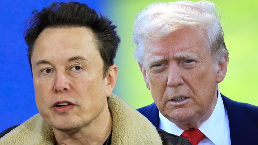 Elon Musk elimina Epstein Post, il presidente Trump rifiuta il calore