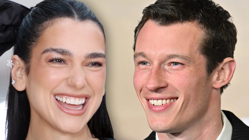 Dua Lipa conferma il coinvolgimento con l'attore Callum Turner