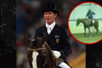 Olimpiano equestre sospeso dopo che il pilota ha catturato il cavallo di frusta 40 volte in video
