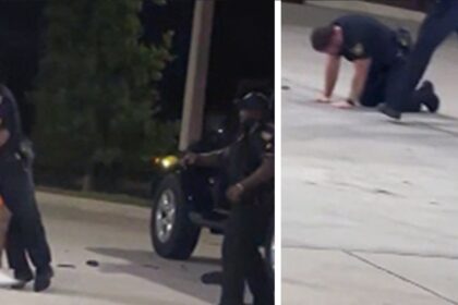 Il deputato dello sceriffo della Florida spara accidentalmente partner con Taser, in video