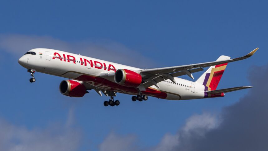 Quanti sopravvissuti Air India ci sono dall'incidente aereo? Aggiornamento - Hollywood Life