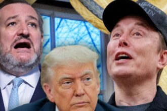 Ted Cruz dice di essere con Donald Trump durante Elon Musk X Attack