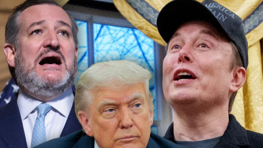 Ted Cruz dice di essere con Donald Trump durante Elon Musk X Attack