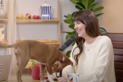 Dakota Johnson adotta un nuovo cane dopo la rottura di Chris Martin