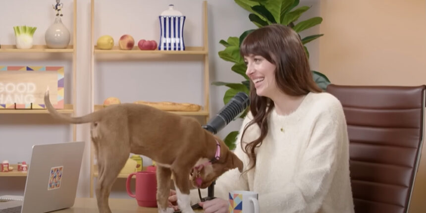 Dakota Johnson adotta un nuovo cane dopo la rottura di Chris Martin