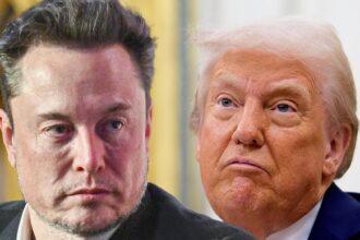 Elon Musk dice che Donald Trump avrebbe perso le elezioni senza di lui