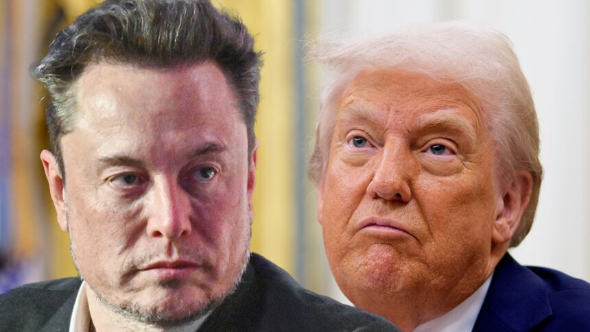 Elon Musk dice che Donald Trump avrebbe perso le elezioni senza di lui