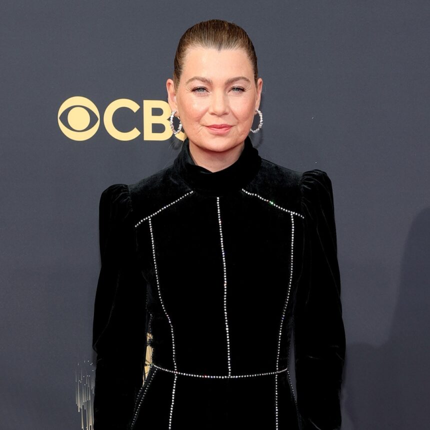 Ellen Pompeo detenuto da TSA, squadra bomba per semi di girasole