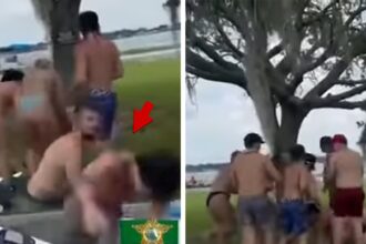 Florida Lakeside Brawl catturata in video folle, 8 arrestati
