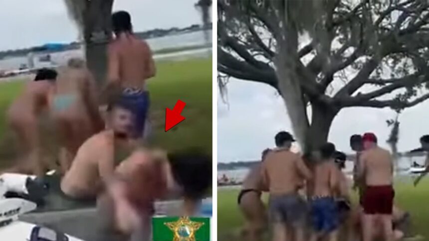 Florida Lakeside Brawl catturata in video folle, 8 arrestati