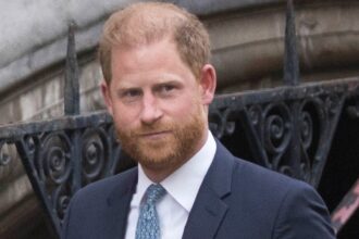 Il principe Harry nega il pugno del principe Andrew