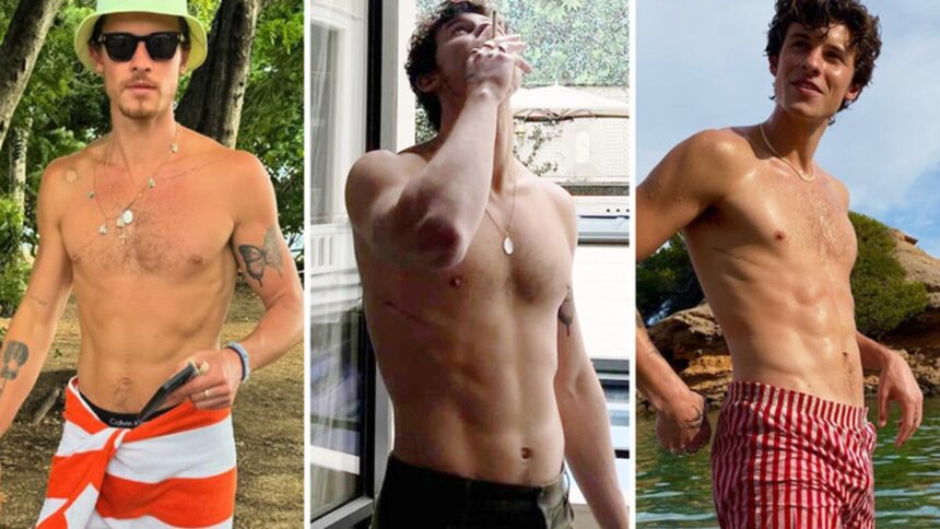 Scatti senza camicia di Shawn Mendes per dare il via al 27 ° compleanno del cantante!