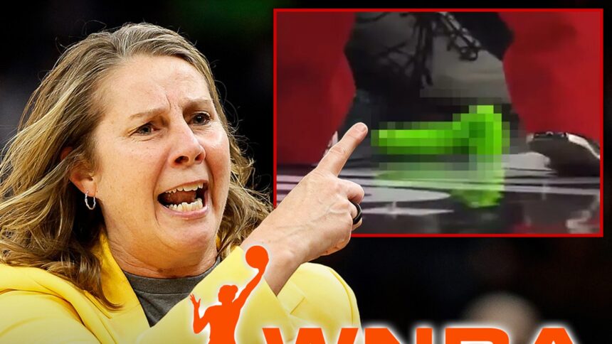 L'allenatore del WNBA Cheryl Reeve Livido per il lancio di giocattoli sessuali, "non è divertente"