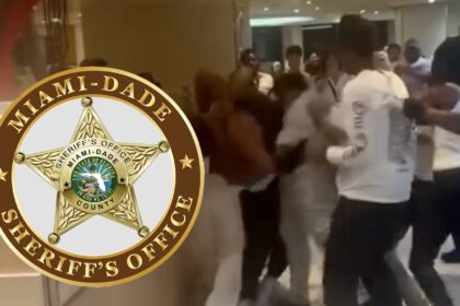 Poliziotti chiamati su una rissa da crociera "gare d'appalto di pollo", nessun arresto fatto