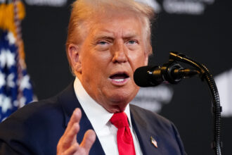 Trump afferma che "molte" persone stanno dicendo "forse ci piace un dittatore"