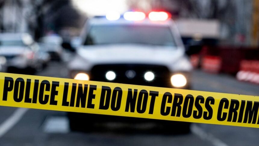 Melissa Hortman & John Hoffman Shootings: Updates on Case