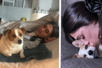 E’ morta improvvisamente l’amata cagnolina Aspirina di Cecilia Rodriguez e Ignazio Moser: ''Difficile trovare parole'' - Gossip.it