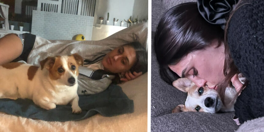 E’ morta improvvisamente l’amata cagnolina Aspirina di Cecilia Rodriguez e Ignazio Moser: ''Difficile trovare parole'' - Gossip.it