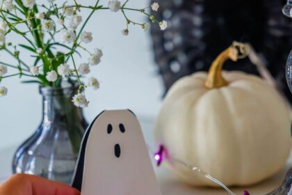 Carino decorazione per la casa di Halloween, gioielli chic spettrali, costumi per animali domestici e altro ancora