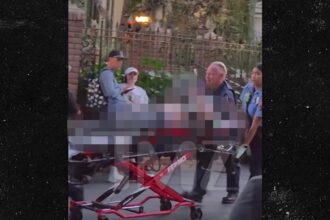 Il paziente della villa stregata di Disneyland viene portato fuori prima di morire, in video