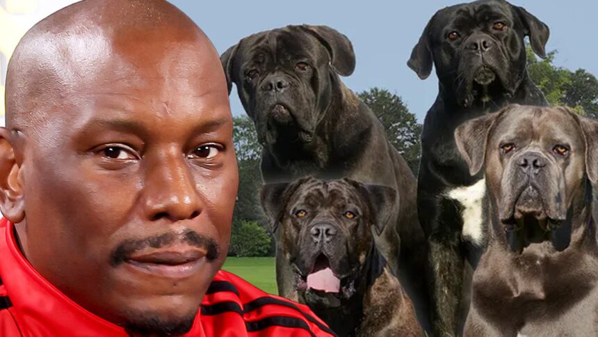 I poliziotti non sanno dove siano i suoi cani assassini