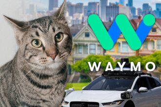 Waymo afferma che un gatto è sfrecciato sotto un'auto a guida autonoma prima dell'incidente mortale a San Francisco