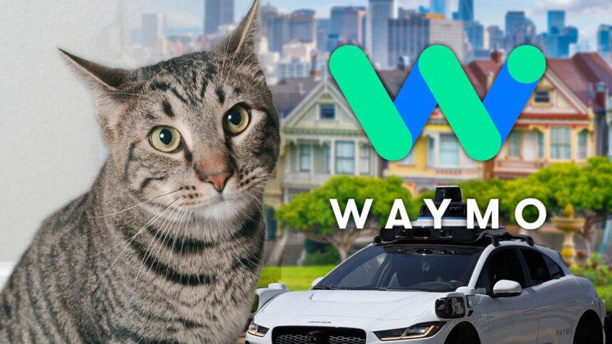Waymo afferma che un gatto è sfrecciato sotto un'auto a guida autonoma prima dell'incidente mortale a San Francisco
