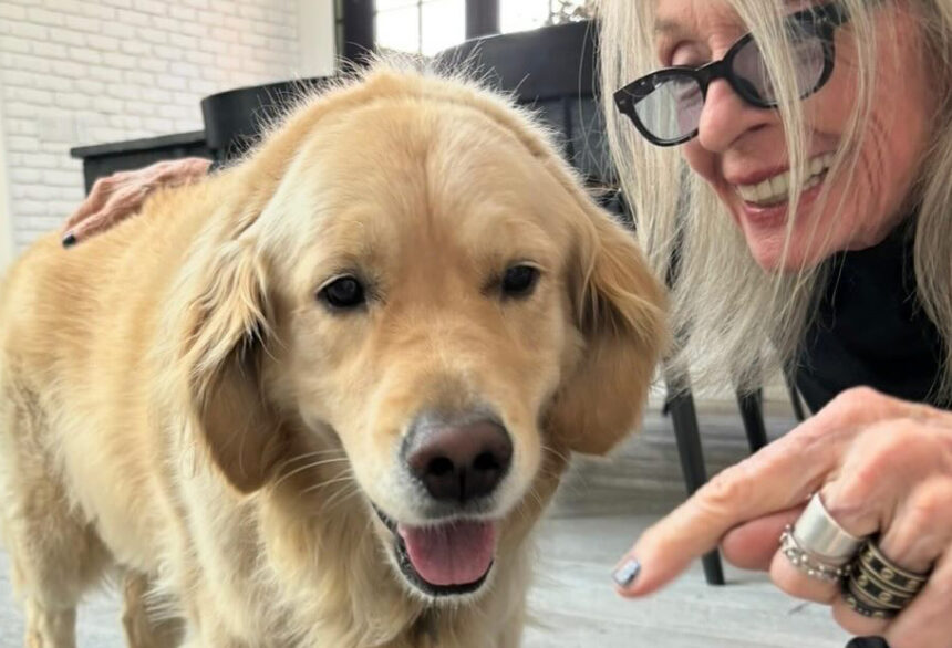 ''E’ stata divertente fino alla fine'': l’ultimo post di Diane Keaton prima della morte, il ricordo di DiCaprio - Gossip.it