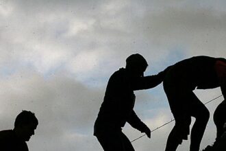 Combattimento senza giocatori del reality show AI