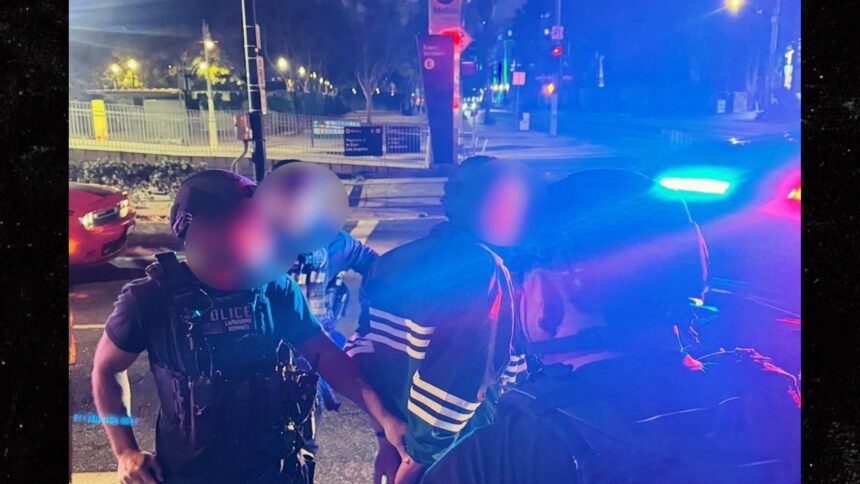 La polizia di Los Angeles pubblica le foto dell'arresto di Nick Reiner in Omicidi di Rob e Michele Reiner