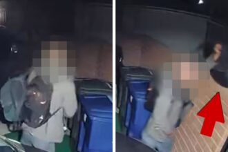 Nuovo video di un uomo con uno zaino simile girato poco prima del rapimento di Nancy Guthrie