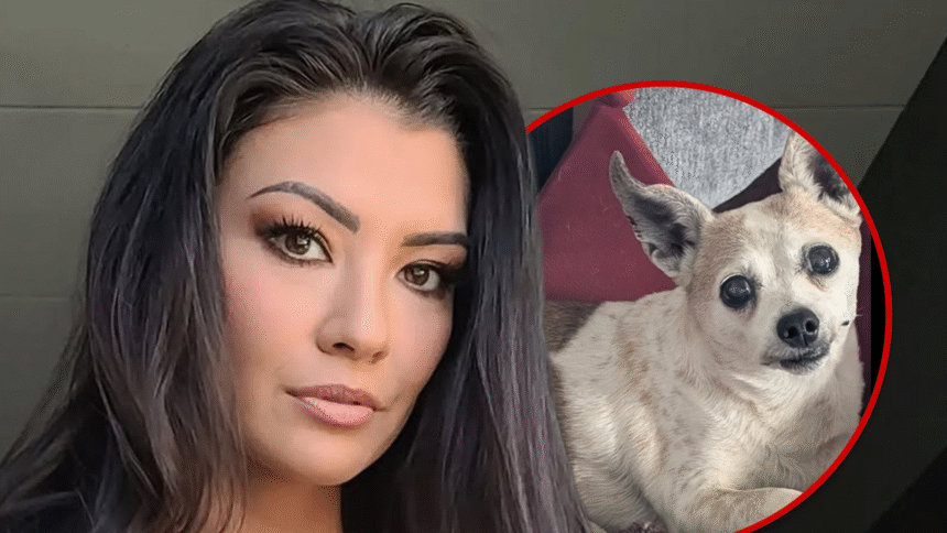 È morto il cane della star di Portland, Averey Tressler