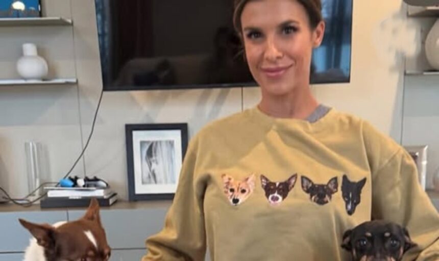 ''Abbiamo una babysitter ma non per mia figlia'': Elisabetta Canalis confessa a cosa le serve la tata in casa - Gossip.it