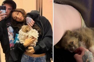 Fedez pubblica una rara immagine con la fidanzata Giulia Honegger e svela il pancino: sarà padre per la terza volta, è ufficiale - Gossip.it