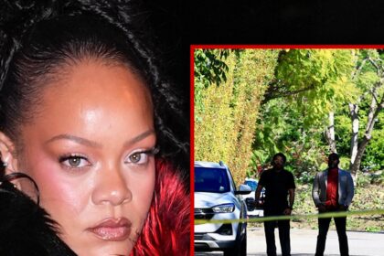 Sparatoria nella casa di Rihanna a Beverly Hills, sospettato in custodia