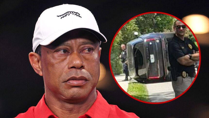Secondo quanto riferito, Tiger Woods non assumerà l'autista a causa di problemi di privacy