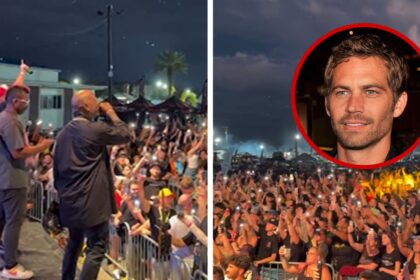 Tyrese Gibson annuncia che l'organizzazione benefica di Paul Walker ha raccolto quasi 1 milione di dollari