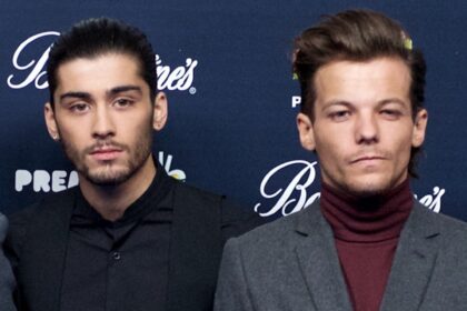 Zayn Malik, Louis Tomlinson Feud; Direttore della docuserie su Presunto combattimento