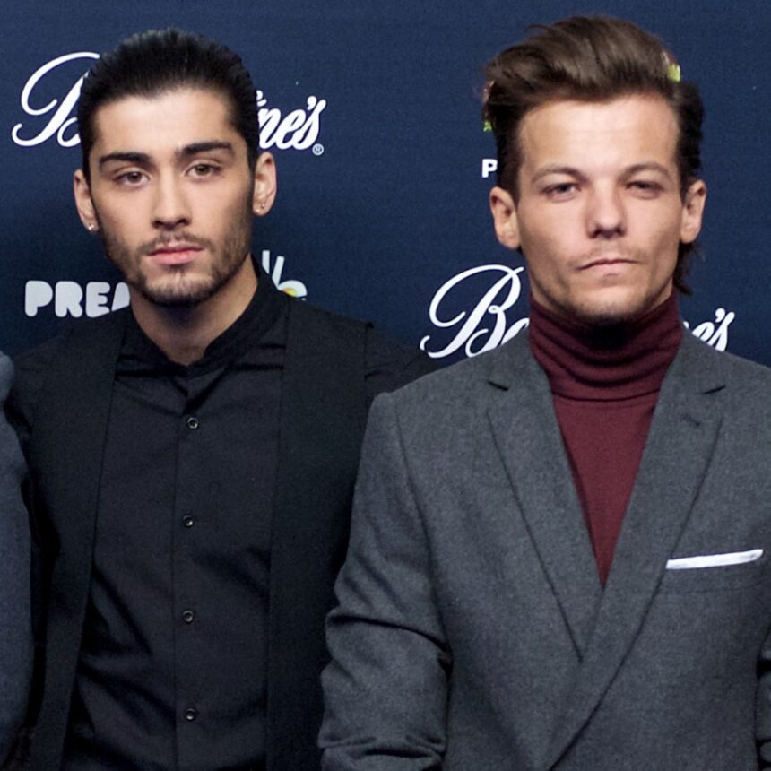 Zayn Malik, Louis Tomlinson Feud; Direttore della docuserie su Presunto combattimento
