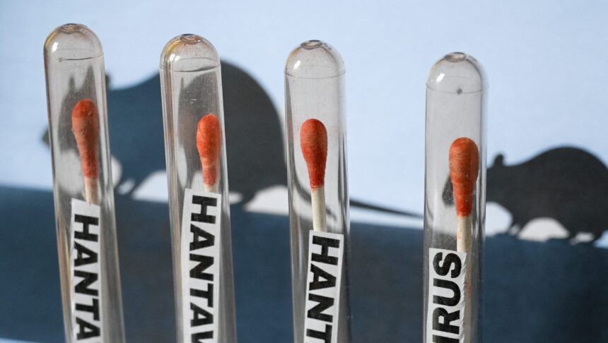 L'Hantavirus è negli Stati Uniti? Aggiornamento nel caos delle navi da crociera del 2026: vita a Hollywood