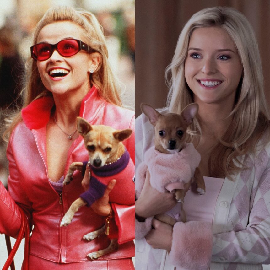 In che modo Elle Woods della serie Elle è diversa da Legally Blonde