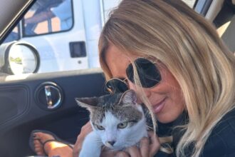 “Ti amo quanto tu ami i gatti”: Selvaggia Lucarelli compie 52 anni, la tenera dedica di Lorenzo Biagiarelli e la risposta di lei - Gossip.it