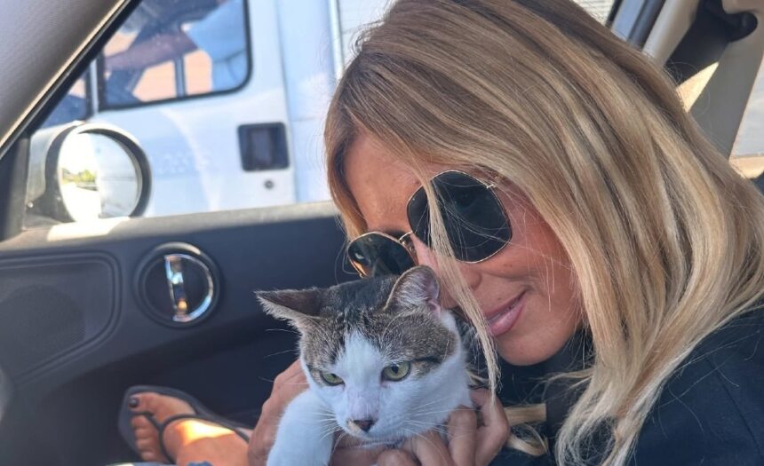 “Ti amo quanto tu ami i gatti”: Selvaggia Lucarelli compie 52 anni, la tenera dedica di Lorenzo Biagiarelli e la risposta di lei - Gossip.it