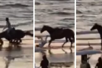 Belen Rodriguez cade da cavallo durante una passeggiata sulla spiaggia: come sta e le immagini shock dell’incidente - Gossip.it