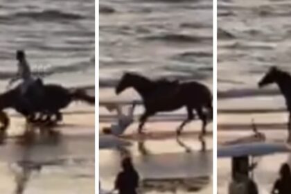 Belen Rodriguez cade da cavallo durante una passeggiata sulla spiaggia: come sta e le immagini shock dell’incidente - Gossip.it