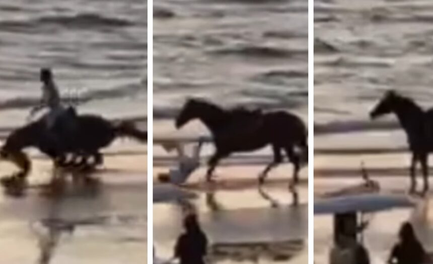 Belen Rodriguez cade da cavallo durante una passeggiata sulla spiaggia: come sta e le immagini shock dell’incidente - Gossip.it