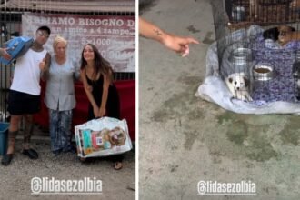 Fedez e Giulia Honegger in Sardegna: lo shopping speciale e la visita al rifugio che fa battere il cuore, le immagini - Gossip.it