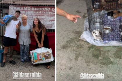 Fedez e Giulia Honegger in Sardegna: lo shopping speciale e la visita al rifugio che fa battere il cuore, le immagini - Gossip.it