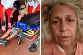 Brutta caduta per Maria Teresa Ruta, soccorsa e portata in ospedale: ecco come sta - Gossip.it